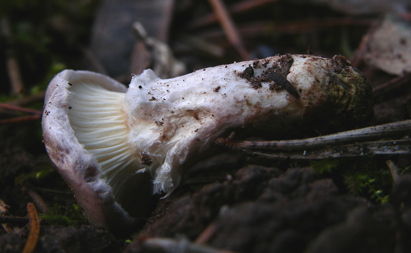 Facili,meno facili...per allenamento...